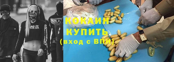PSILOCYBIN Няндома
