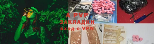PSILOCYBIN Няндома