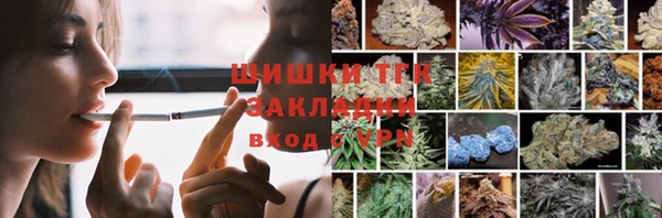 PSILOCYBIN Няндома