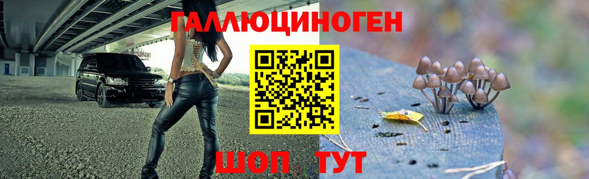 Псилоцибиновые грибы GOLDEN TEACHER  хочу наркоту  Псилоцибиновые грибы Psilocybine cubensis  Шарыпово 